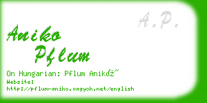 aniko pflum business card